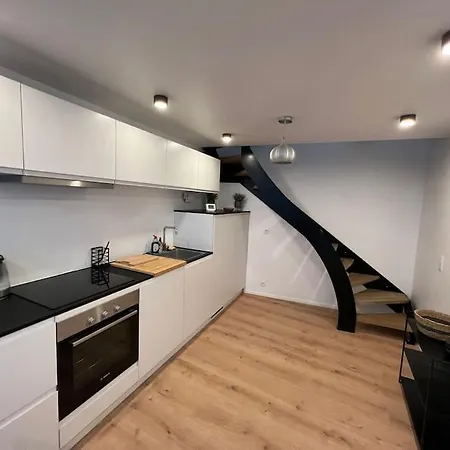 Triplex D'architecte En Hypercentre