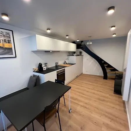 Triplex D'architecte En Hypercentre