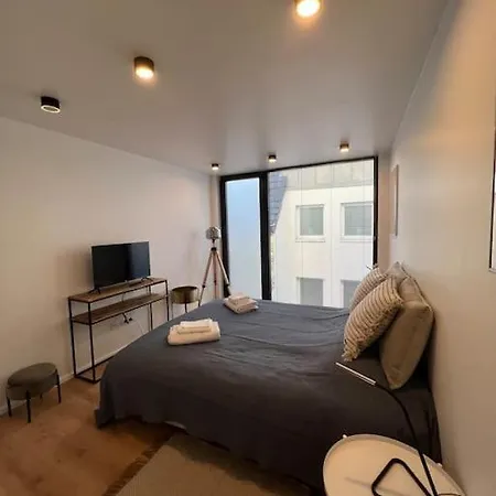 Triplex D'architecte En Hypercentre