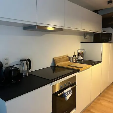 Triplex D'architecte En Hypercentre לייז'