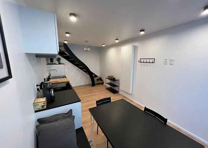 Triplex D'architecte En Hypercentre Liege