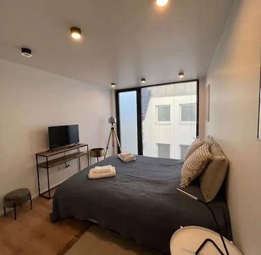 Triplex D'architecte En Hypercentre