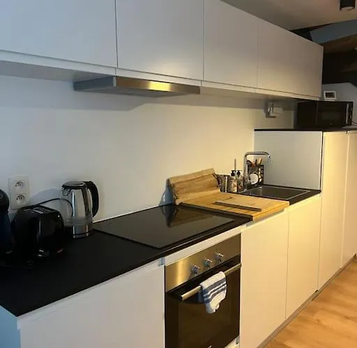 Triplex D'architecte En Hypercentre Льеж