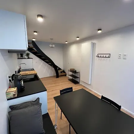 Triplex D'architecte En Hypercentre Liege
